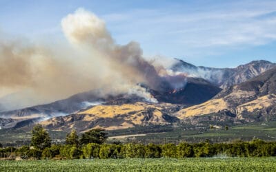 18 Tips to Prepare Your Home for Wildfire Season